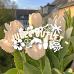 - jules outlet -