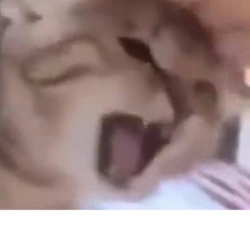 ket