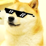 The doge drip