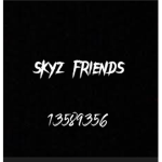 skyz's friends!!
