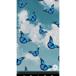 ButterflyFieldz