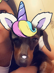 Isa_roblox:3