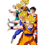 Dragon ball z buu saga the z fighter