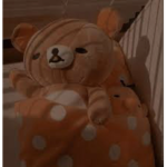 I’m in love with a teddy bear