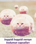 mugolibabapirolar