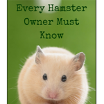 Facts about Hamster