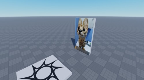 serval video