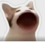 CHONK-A-ALL