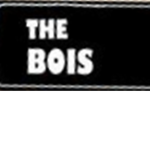 The Bo1s