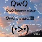 •QwQ swuad•