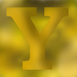 YvhCharity