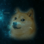DogeCompany