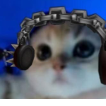 Pearcat1