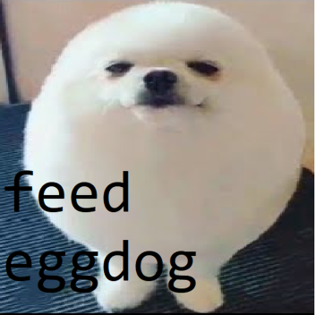 feed eggdog 