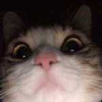 roblox gratis
