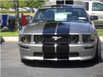 mustang club fans