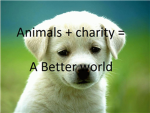 Animals and Charity Team