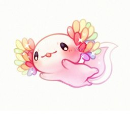 Axolotl Hangout!