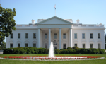 YourFriesSalad for President