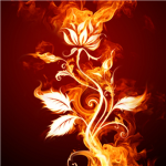 Flower empirer!