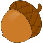RAIN_BACON