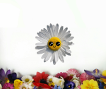 Flower squad number 1
