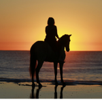 North Shore Riding Academy