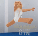 !!sunshine gym group!!