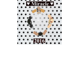 ♥ Miracle ♥'s Application Center
