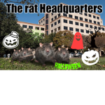 The rat Headquarters