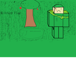 Military Flags