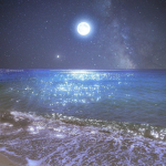 quidditie