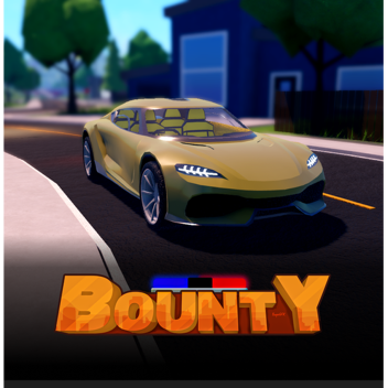 Bounty Testing 
