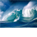 Ocean Lovers!!