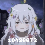 AK4BR1