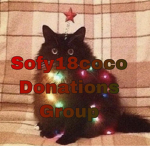 Sofy18coco donations group