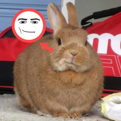 Bunny Bunny Bunny Obby icon