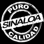 Sinaloa Mexico Clothing’s