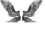 Fantasyy Wings