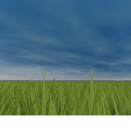 the endless void