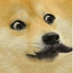 Special Doge Club