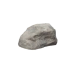 Rock’s club