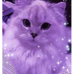 Cats.are.awesome :D