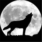 Rain Pack Wolves