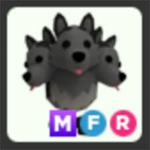 FozzyIQ's Community