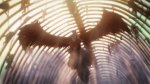 Wings of Freedom 5