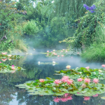 Kaidens Garden