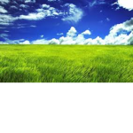 green-land tech