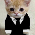 .The Cat Mafia.