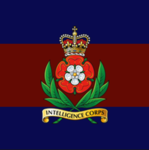 [RLGRP] Royal Intelligence Corporation